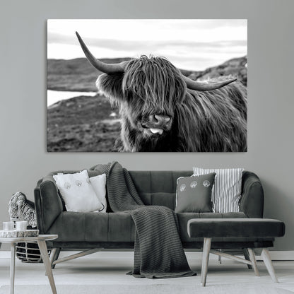 83810-MGV-CV-36X24-Highland Cow Wall Art – Black and White Highland Cattle Print, Rustic Farmhouse Animal Decor for Living Room