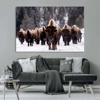 66871-MGV-CV-36X24-Bison Herd Wall Art – Wildlife Buffalo Canvas Print, Rustic Western Nature Photography Decor for Living Room, Office, Cabin, or