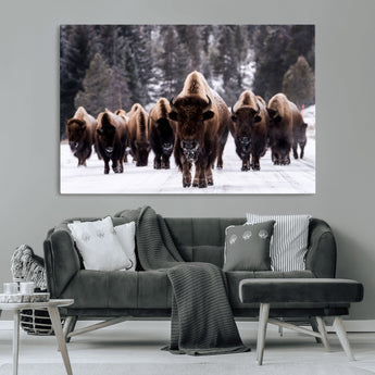 66871-MGV-CV-36X24-Bison Herd Wall Art – Wildlife Buffalo Canvas Print, Rustic Western Nature Photography Decor for Living Room, Office, Cabin, or