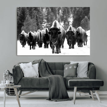 62434-MGV-CV-36X24-Bison Herd Wall Art – Majestic Black and White Buffalo Canvas Print, Wildlife Nature Photography Decor for Living Room, Office or