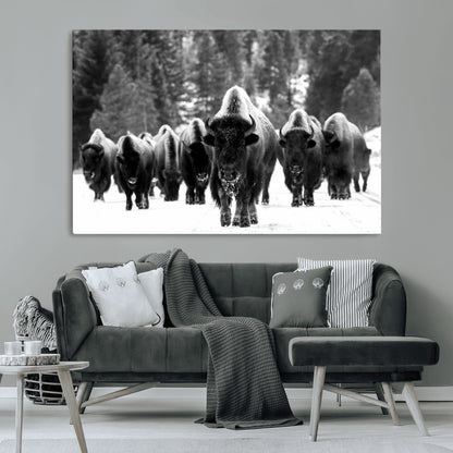 62434-MGV-CV-36X24-Bison Herd Wall Art – Majestic Black and White Buffalo Canvas Print, Wildlife Nature Photography Decor for Living Room, Office or