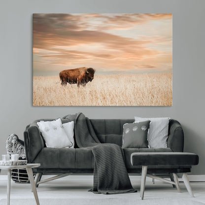 99699-MGV-CV-36X24-Bison in Prairie at Sunset – Wildlife Photography Print, American Buffalo Wall Art, Nature Landscape Canvas Decor for Office