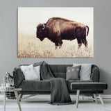 48406-MGV-CV-36X24-American Bison Wall Art – Rustic Buffalo Canvas Print in Prairie Field, Western Wildlife Photography Decor for Cabin, Lodge,