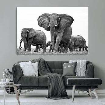91685-MGV-CV-36X24-Elephant Herd Wall Art – Black and White Safari Canvas Print, African Wildlife Photography Decor for Living Room, Office or