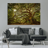 57983-MGV-CV-36X24-Angel Oak Tree Wall Art Canvas Print, Framed Oak Tree Art Picture Print, Angel Oak Perfect Rustic Nature Decor Artwork