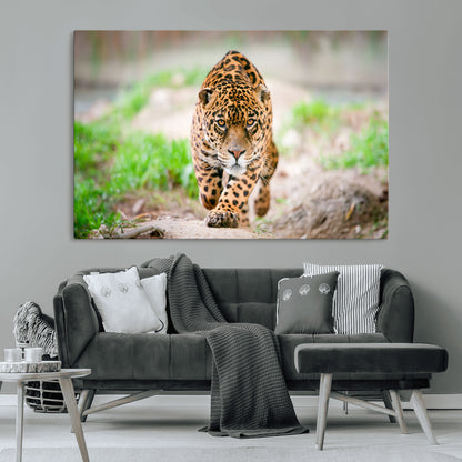 75066-MGV-CV-36X24-Leopard Wall Art Canvas Print, Framed Wild Animal Art Picture Print, Blue Eye Leopard Perfect Wild Minimal Decor Artwork