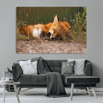 25085-MGV-CV-36X24-Sleeping Fox Wall Art Canvas Print, Framed Rustic Fox Art Picture Print, Wildlife Animal Perfect Rustic Farmhouse Decor Artwork