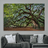 MGV-CV-36X24 - Historic Tree Wall Art Canvas Print, Framed Mossy Tree Art Picture Print, Twisted Branches Perfect Nature Southern Decor Artwork