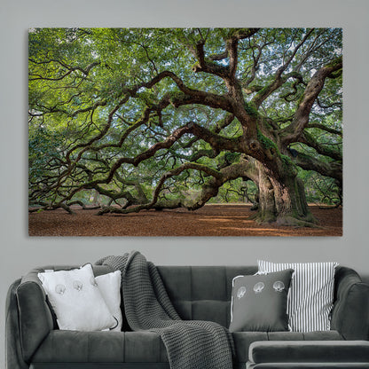 MGV-CV-36X24 - Historic Tree Wall Art Canvas Print, Framed Mossy Tree Art Picture Print, Twisted Branches Perfect Nature Southern Decor Artwork