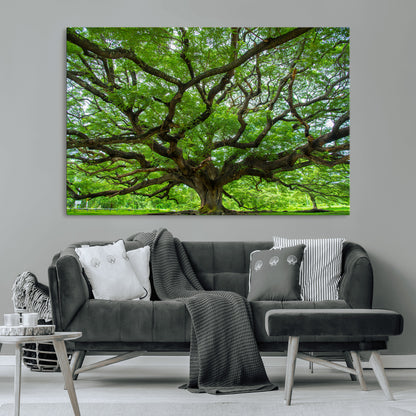 49375306-MGV-CV-36X24-Ancient Tree Wall Art Canvas Print, Framed Sprawling Branches Art Picture Print, Gnarling Tree Perfect Earthy Natural Decor