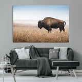 91267849-MGV-CV-36X24-Wild Bison Wall Art Canvas Print, Framed Bison in Prairie Art Picture Print, Rustic Western Perfect Rustic Western Decor Artwork