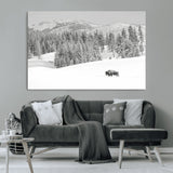 68081143-MGV-CV-36X24-Snowy Bison Wall Art Canvas Print, Framed Winter Forest Art Picture Print, Lone Bison Perfect Monochrome Winter Wild Decor Artwork