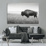 28435251-MGV-CV-36X24-Bison In Prairie Wall Art Canvas Print, Framed Rustic Wildlife Art Picture Print, Wild Buffalo Perfect Rustic Western Decor