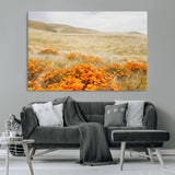28972262-MGV-CV-36X24-Golden Wildflowers Wall Art Canvas Print, Framed Hills Bloom Art Picture Print, Poppy Meadow Perfect Rustic Nature Decor Artwork