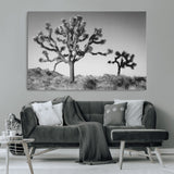 50975475-MGV-CV-36X24-Joshua Tree Art Wall Art Canvas Print, Framed Desert Tree Print Art Picture Print, Black White Nature Perfect Southwestern Boho
