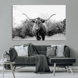 97280319-MGV-CV-36X24-Longhorn Photography Wall Art Canvas Print, Framed Western Cow Decor Art Picture Print, Texas Ranch Style Perfect Rustic Farmhouse