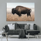 34451925-MGV-CV-36X24-Rustic Bison Decor Wall Art Canvas Print, Framed Buffalo Home Accent Art Picture Print, Prairie Wildlife Scene Perfect Western