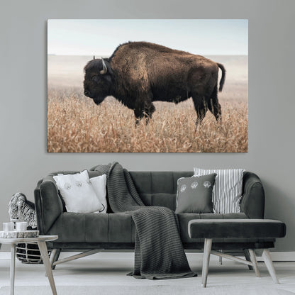 34451925-MGV-CV-36X24-Rustic Bison Decor Wall Art Canvas Print, Framed Buffalo Home Accent Art Picture Print, Prairie Wildlife Scene Perfect Western