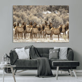 90269422-MGV-CV-36X24-Elk Herd Scene Wall Art Canvas Print, Framed Rustic Wildlife Decor Art Picture Print, Western Cabin Style Perfect Rustic Lodge