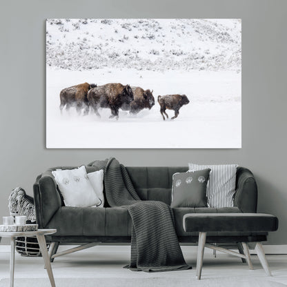 56216945-MGV-CV-36X24-Bison Herd Decor Wall Art Canvas Print, Framed Snowy Bison Scene Art Picture Print, Winter Wildlife Theme Perfect Rustic Western