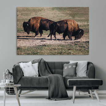 58141885-MGV-CV-36X24-Bison Photography Wall Art Canvas Print, Framed Western Wildlife Art Picture Print, Modern Ranch Perfect Western Rustic Decor
