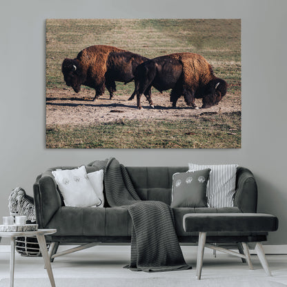 58141885-MGV-CV-36X24-Bison Photography Wall Art Canvas Print, Framed Western Wildlife Art Picture Print, Modern Ranch Perfect Western Rustic Decor