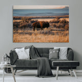 39509187-MGV-CV-36X24-Western Wildlife Wall Art Canvas Print, Framed Bison Art Picture Print, Golden Hour Perfect Western Rustic Decor Artwork