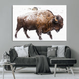 94261165-MGV-CV-36X24-Snowy Buffalo Wall Art Canvas Print, Framed Wildlife Photography Art Picture Print, Brown Tones Perfect Rustic Lodge Decor Decor