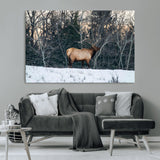 36533178-MGV-CV-36X24-Wild Elk Photography Wall Art Canvas Print, Framed Winter Wildlife Art Picture Print, Snowy Forest Perfect Rustic Lodge Decor