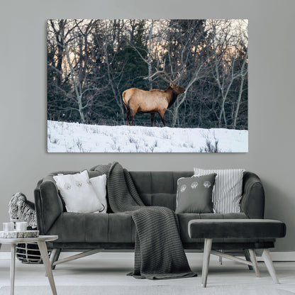 36533178-MGV-CV-36X24-Wild Elk Photography Wall Art Canvas Print, Framed Winter Wildlife Art Picture Print, Snowy Forest Perfect Rustic Lodge Decor