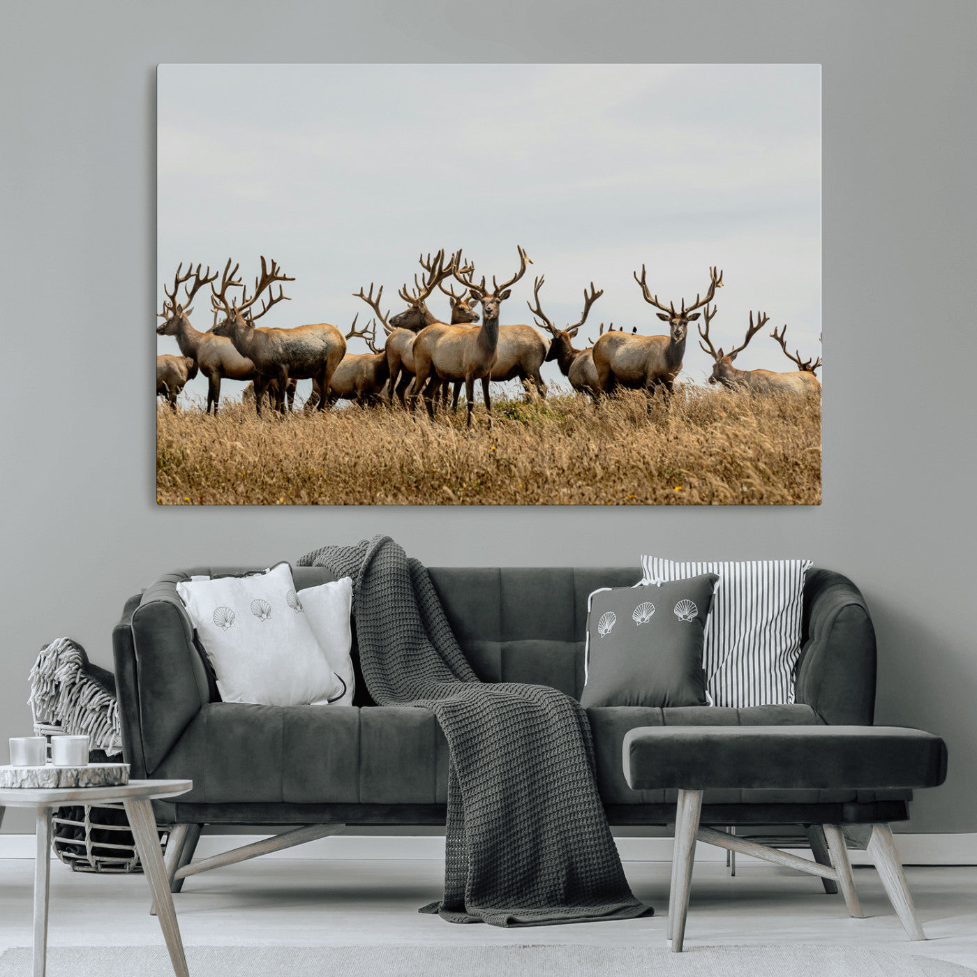 42170220-MGV-CV-36X24-Elk Herd Wall Art Canvas Print, Framed Wildlife Photography Art Picture Print, Majestic Antlers Perfect Rustic Wildlife Decor
