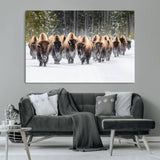 96906195-MGV-CV-36X24-Bison Herd Wall Art – American Buffalo Wildlife Photography Canvas Print, Winter Snow Scene Western Nature Decor for Living Room,