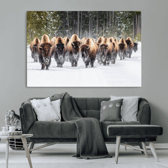 96906195-MGV-CV-36X24-Bison Herd Wall Art – American Buffalo Wildlife Photography Canvas Print, Winter Snow Scene Western Nature Decor for Living Room,