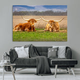 54598515-MGV-CV-36X24-Texas Longhorns Wall Art – Rustic Cattle Ranch Canvas Print, Western Farmhouse Animal Photography Decor for Living Room, Office,