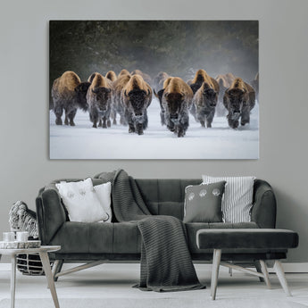 30332489-MGV-CV-36X24-Winter Bison Herd Wall Art – Powerful Buffalo Canvas Print, Rustic Wildlife Photography Decor for Farmhouse, Cabin, Lodge, Living