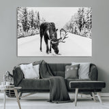 38956835-MGV-CV-36X24-Moose Winter Snowy Forest Canvas Wall Art – Wildlife Nature, Antlers in Frozen Landscape, Quiet Path, Cold Season Outdoors Print
