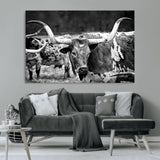 15425553-MGV-CV-36X24-Western Wall Art – Longhorn Cattle Black and White Canvas Print, Rustic Ranch Photography Decor for Bedroom, Living Room, Office,