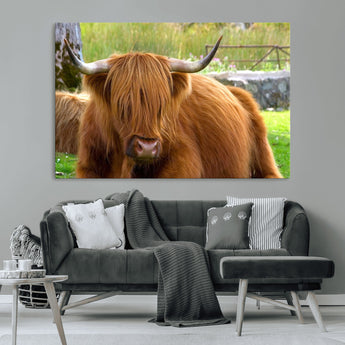 68411138-MGV-CV-36X24-Farmhouse Wall Art – Highland Cow Canvas Print, Rustic Country Cattle Photography Decor for Bedroom, Living Room, Office, Ranch,