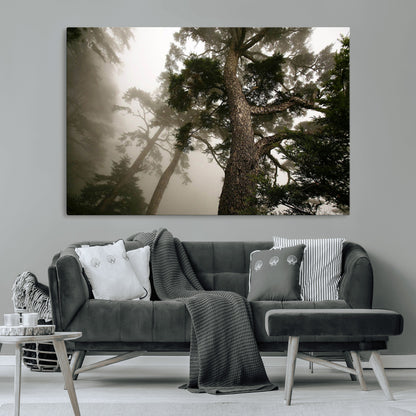 87969493-MGV-CV-36X24-Forest Wall Art – Misty Tall Trees Canvas Print, Dramatic Woodland Photography Decor for Bedroom, Living Room, Office, Cabin,