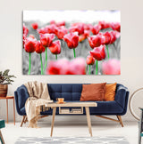 44554-MGV-CV-36X24-Vibrant red tulips stand out beautifully against a black-and-white background, making a striking decor piece perfect for any home