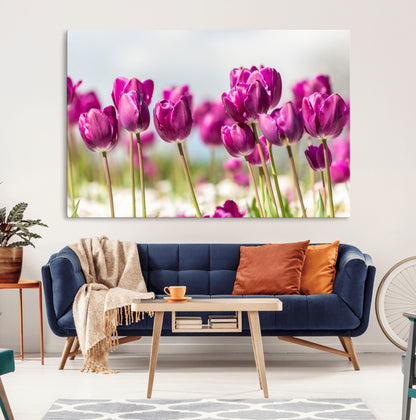 30632-MGV-CV-36X24-Purple Tulip Field Wall Art – Beautiful Spring Flowers Canvas Print with Soft Focus and Bright Sky, Ideal Floral Decor for Home or