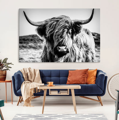 36979-MGV-CV-36X24-Striking black-and-white portrait of a Highland cow with flowing fur and majestic horns, perfect for rustic and elegant home or