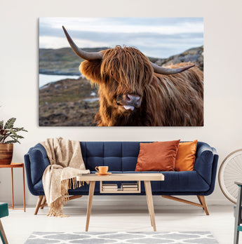 71222-MGV-CV-36X24-A playful Highland cow with shaggy fur sticks out its tongue, set against a rugged landscape — perfect for quirky home or office