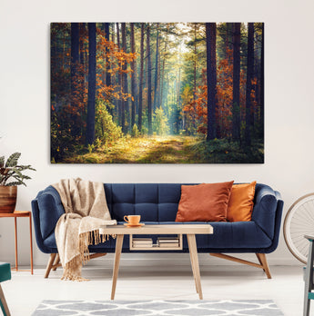 86249-MGV-CV-36X24-Sunlit Autumn Forest Path Wall Art – Peaceful Nature Scene with Fall Foliage, Calming Woods Decor for Home or Office
