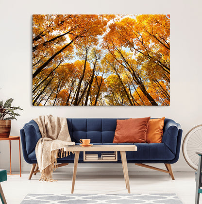 11823-MGV-CV-36X24-Golden Autumn Tree Canopy Wall Art – Stunning Fall Forest Leaves Print, Warm Seasonal Nature Decor for Home, Office or Cabin