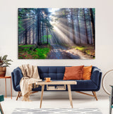 42047-MGV-CV-36X24-Sunlit Forest Path Wall Art – Nature Canvas Print, Serene Woodland Landscape, Perfect Home & Office Decor for Calm and Tranquil