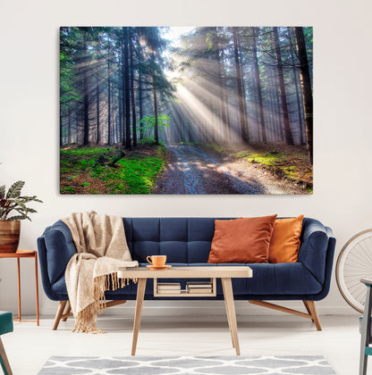 42047-MGV-CV-36X24-Sunlit Forest Path Wall Art – Nature Canvas Print, Serene Woodland Landscape, Perfect Home & Office Decor for Calm and Tranquil