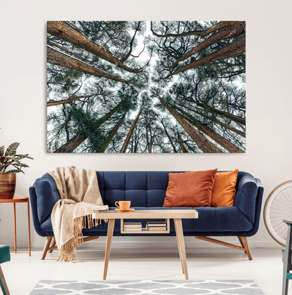18790-MGV-CV-36X24-Pine Canopy Wall Art – Panoramic View of Towering Pines Canvas Print, Nature-Inspired Decor for Office, Cabin or Living Room