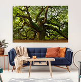 29407-MGV-CV-36X24-Ancient Oak Tree Wall Art – Majestic Nature Canvas Print, Large Tree Photography Decor for Living Room or Office