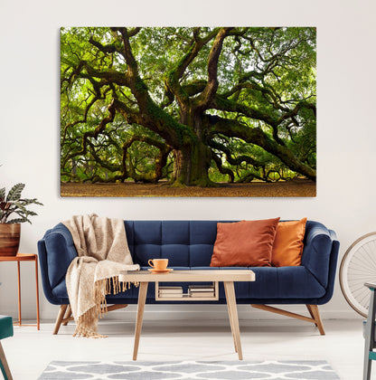29407-MGV-CV-36X24-Ancient Oak Tree Wall Art – Majestic Nature Canvas Print, Large Tree Photography Decor for Living Room or Office